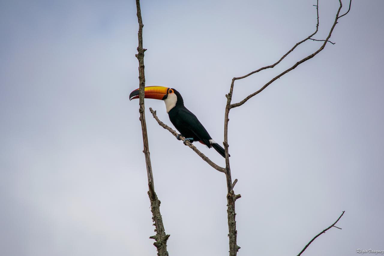 Pousada Marilia De Dirceu Тірадентіс Екстер'єр фото
